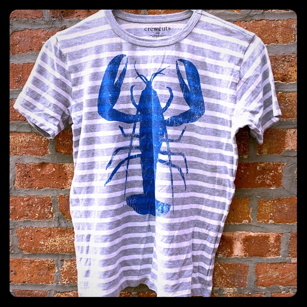 J Crew / Crew Cuts boys t shirt size 12